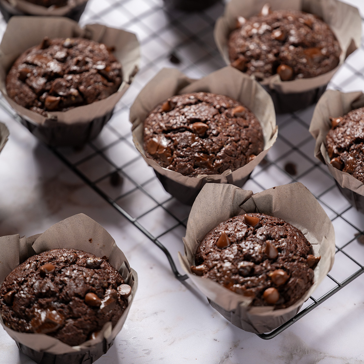 Double chocolate muffins arranged on a cooling rack.