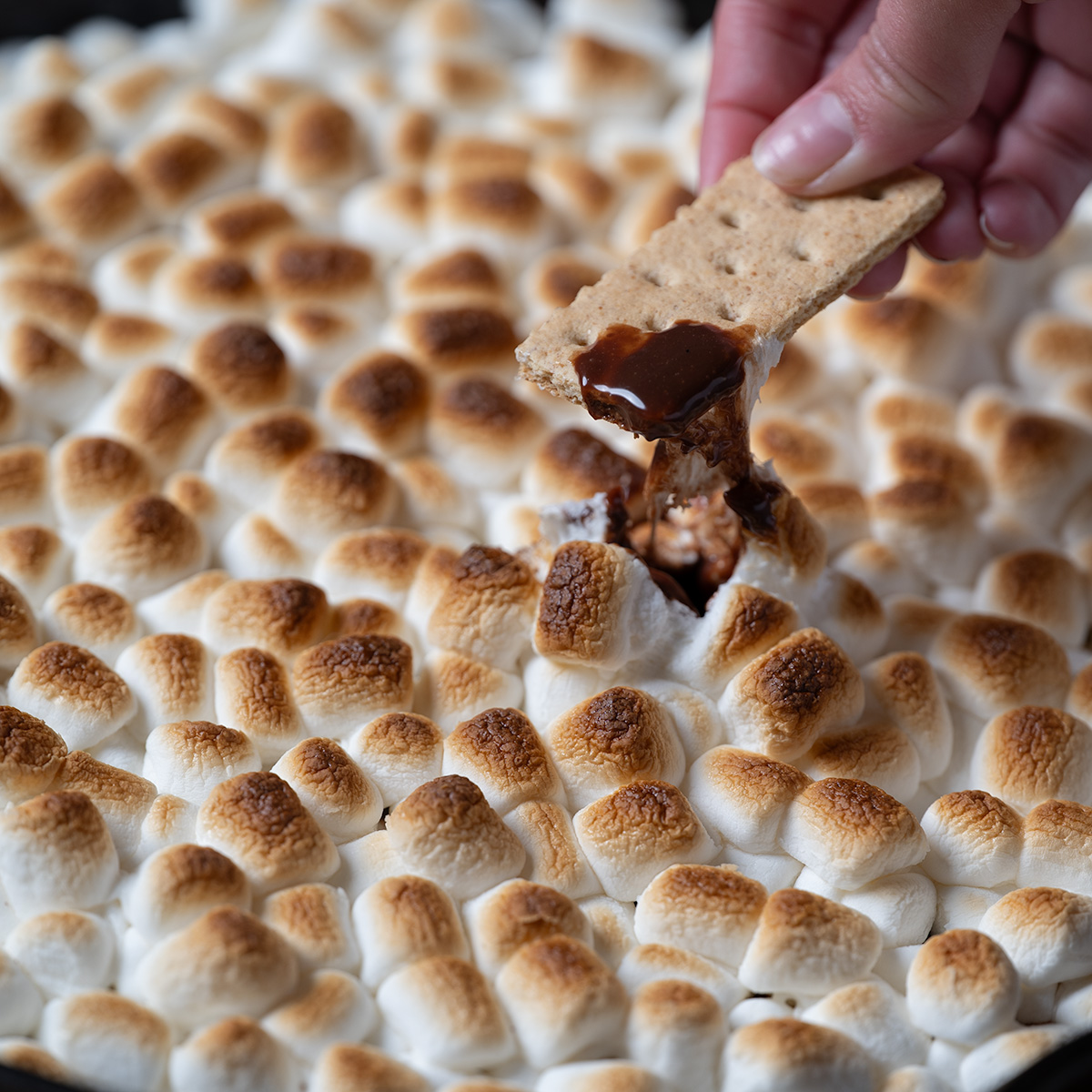 The creamy, melted ganache made from Hershey's chocolate in s'mores dip.