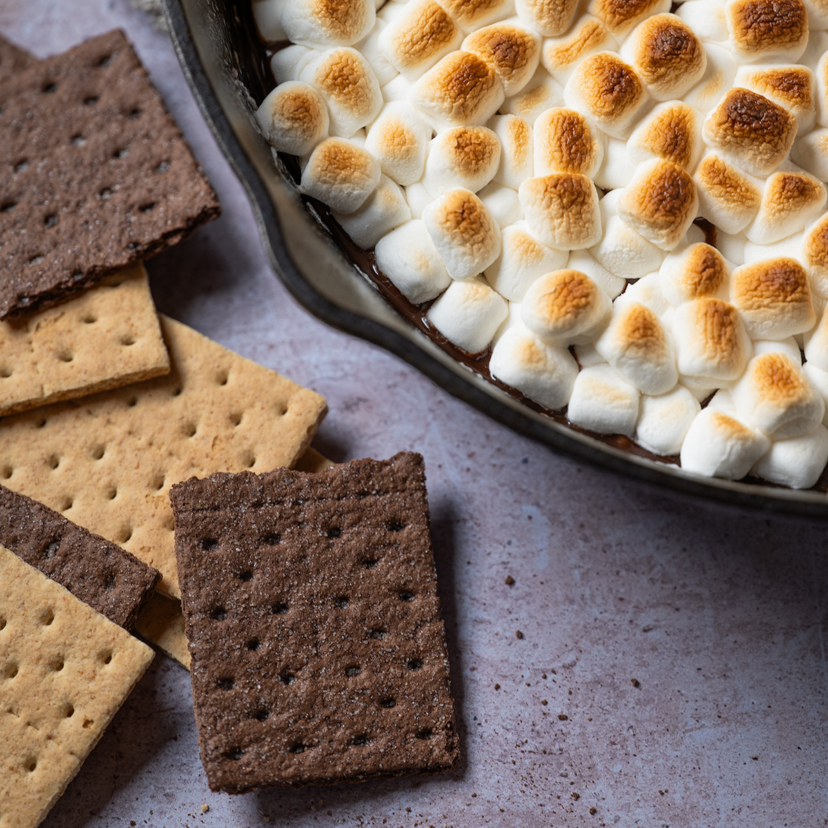 Chocolate and honey graham crackers around s'mores dip.
